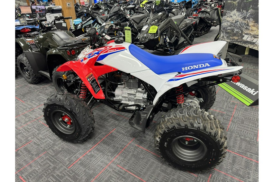 2026 Honda TRX 250 X