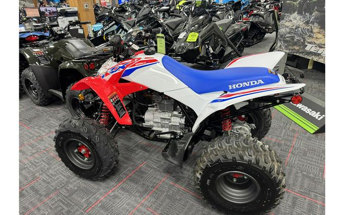 2026 Honda TRX 250 X