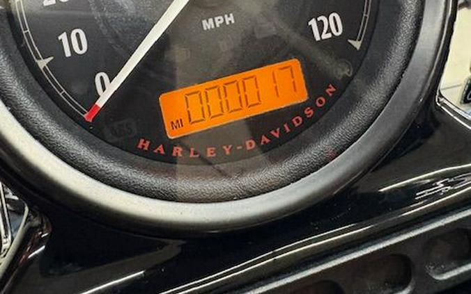 2019 Harley-Davidson Forty-Eight®