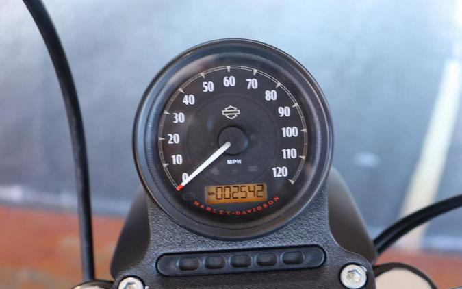 2020 Harley-Davidson® XL883N - Sportster® Iron 883™