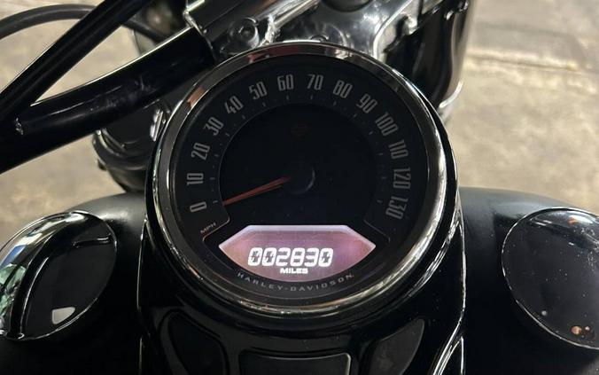 2021 Harley-Davidson Softail Slim FLSL
