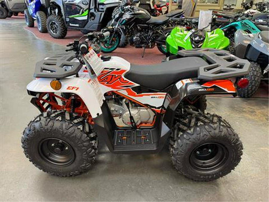 2025 Kayo Bull 125 EFI