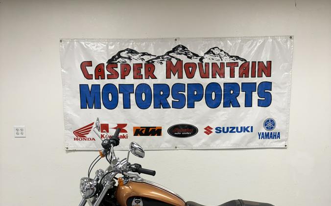 2008 Harley-Davidson® Sportster® 1200 Custom - UO6999