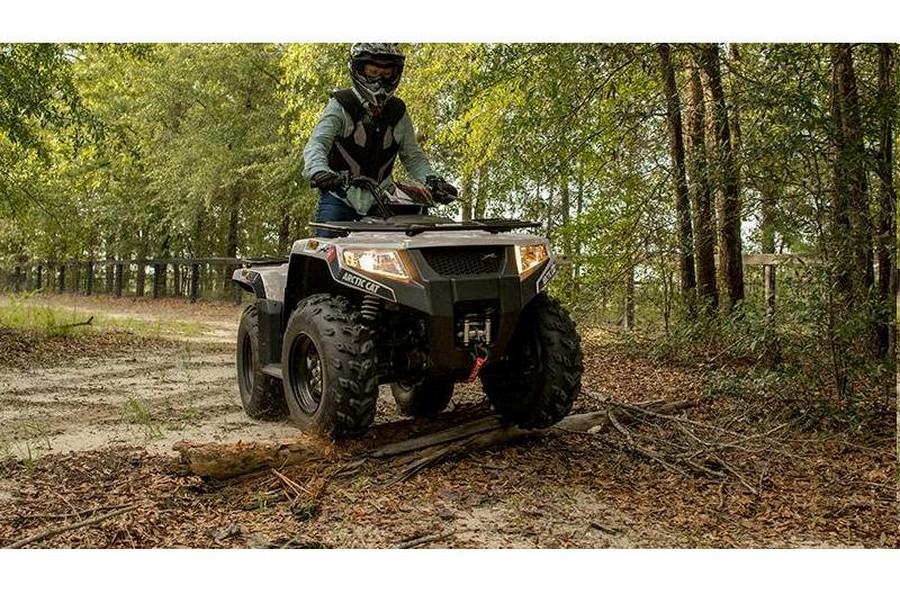 2022 Arctic Cat TRACKER 450