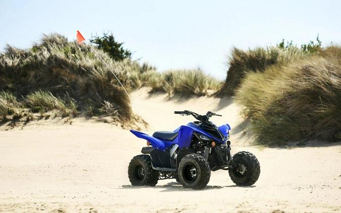 2025 Yamaha [Off-Site Inventory] Raptor 110 [Age 10+]