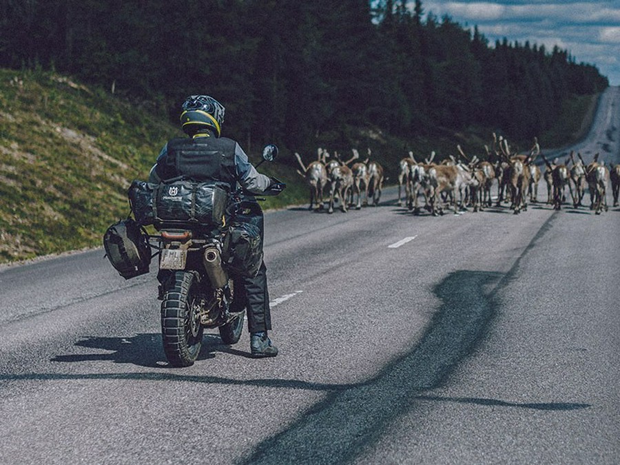 2023 Husqvarna Motorcycles Norden 901