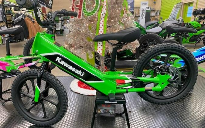 2023 Kawasaki Elektrode™