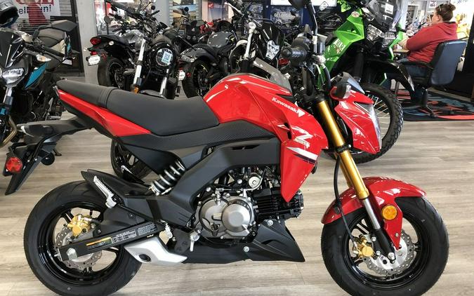 2023 Kawasaki Z125 PRO