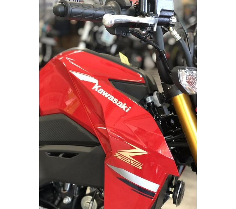 2023 Kawasaki Z125 PRO