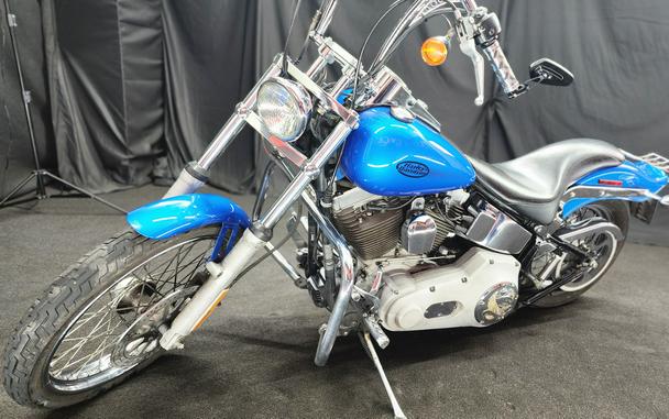 2004 Harley-Davidson® FXST- Softail Standard