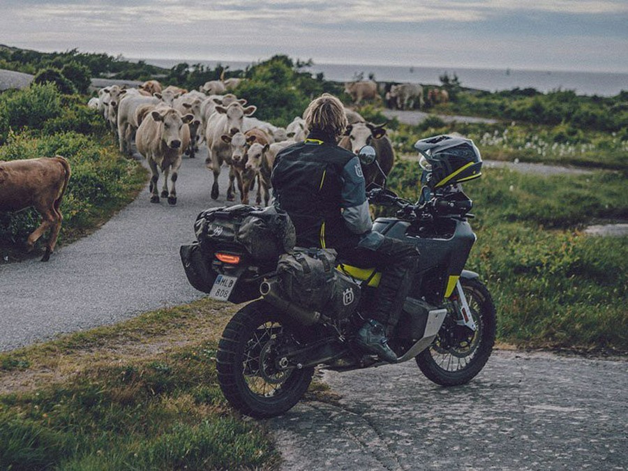 2023 Husqvarna Motorcycles Norden 901