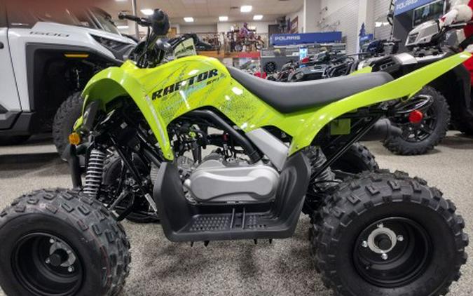 2026 Yamaha Raptor 110