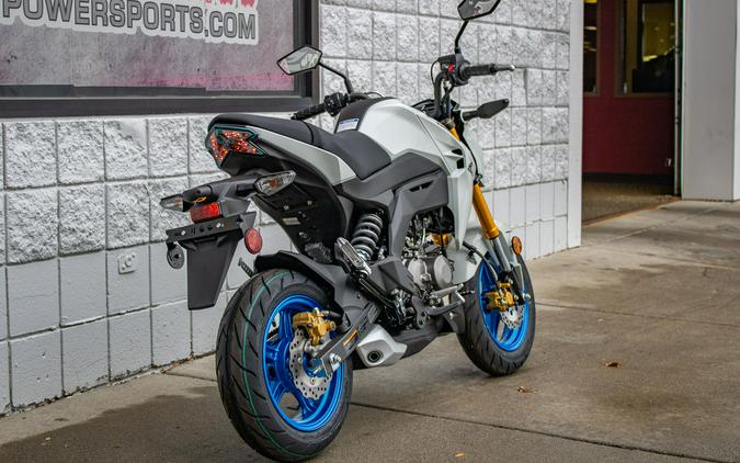 2026 Kawasaki Z125 PRO