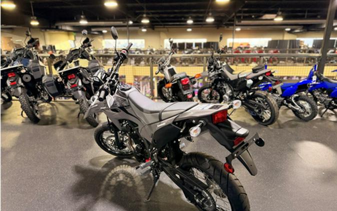 2025 Kawasaki KLX230SM ABS