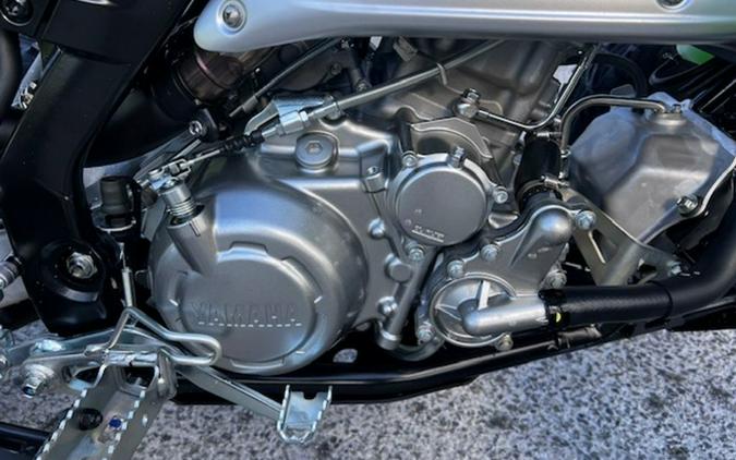 2025 Yamaha Raptor 700R SE