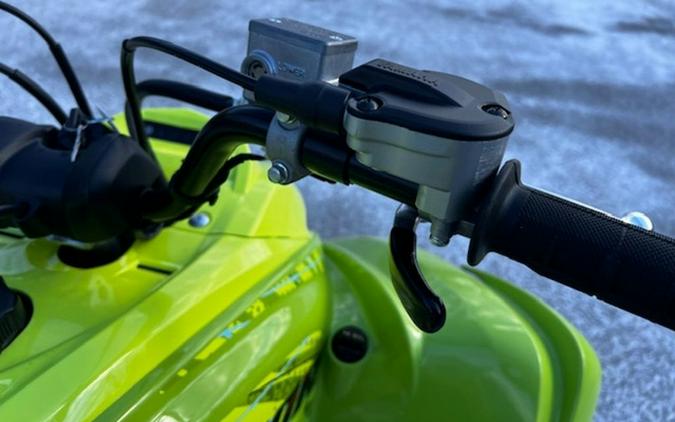 2025 Yamaha Raptor 700R SE