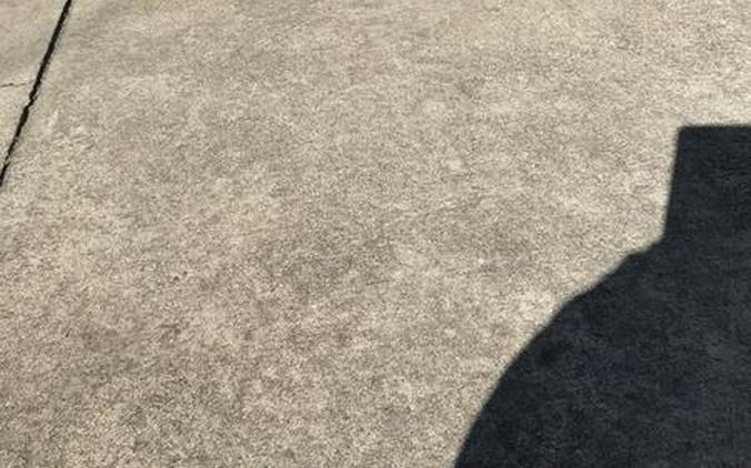 2019 Triumph STREET SCRAMBLER