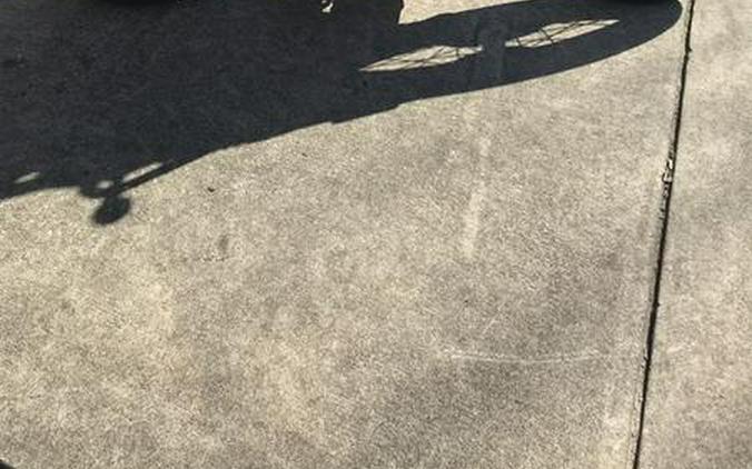 2019 Triumph STREET SCRAMBLER