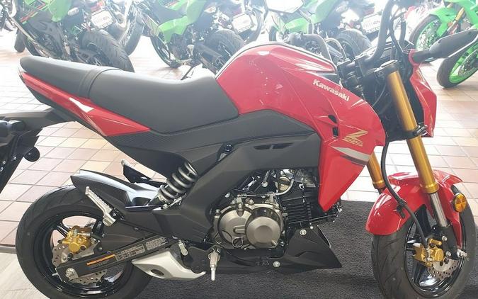 2023 Kawasaki Z125 PRO