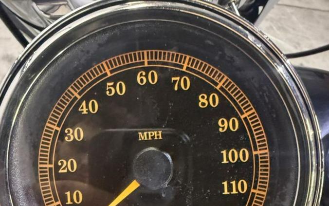 2009 Harley-Davidson® FLHR - Road King®