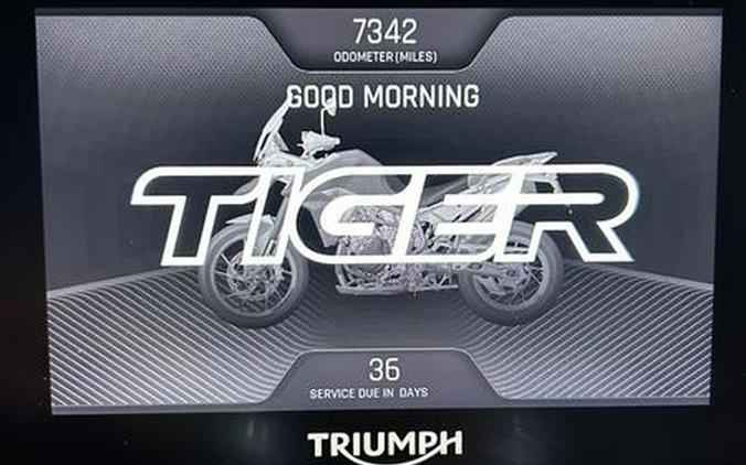 2022 Triumph Tiger 900 Rally Matte Khaki Green