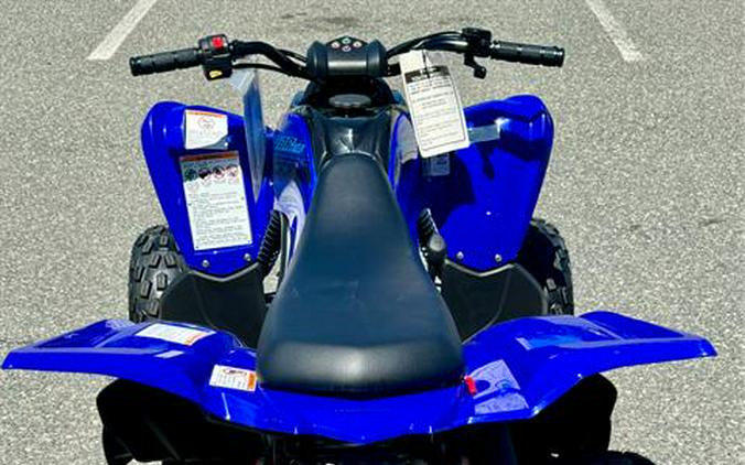 2024 Yamaha Raptor 110