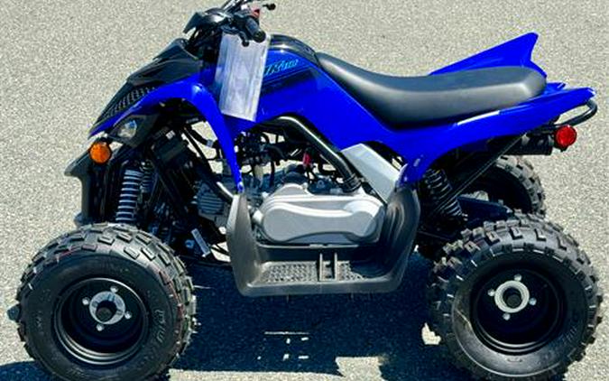 2024 Yamaha Raptor 110