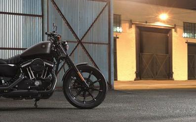 2019 Harley-Davidson Iron 883