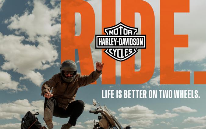 2022 Harley-Davidson® Low Rider® S GUNSHIP GRAY
