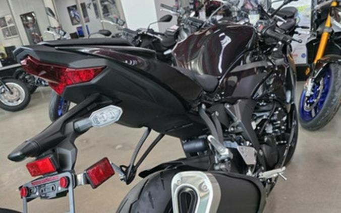 2027 Kawasaki Ninja ZX-6R ABS