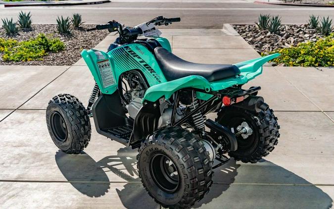 2025 Yamaha Raptor 110