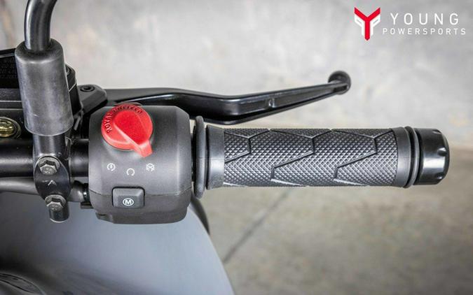 2026 Royal Enfield Himalayan 450 Slate Poppy Blue