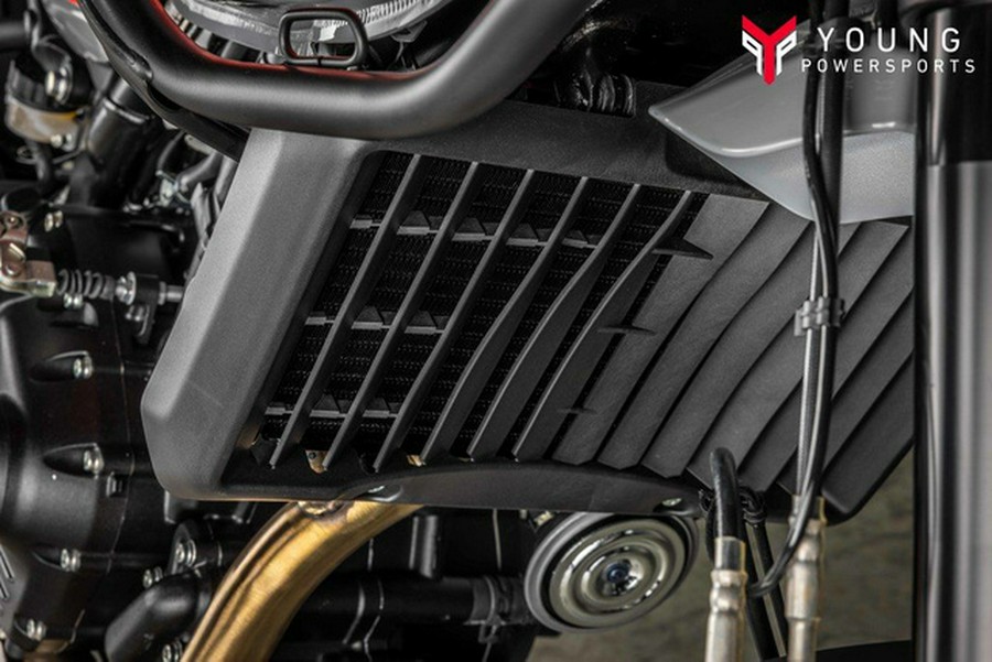 2025 Royal Enfield Himalayan 450 Slate Himalayan Salt 450