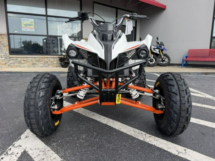 2027 Kayo Storm 300 EFI