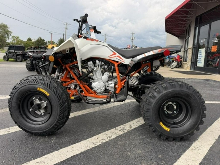 2027 Kayo Storm 300 EFI