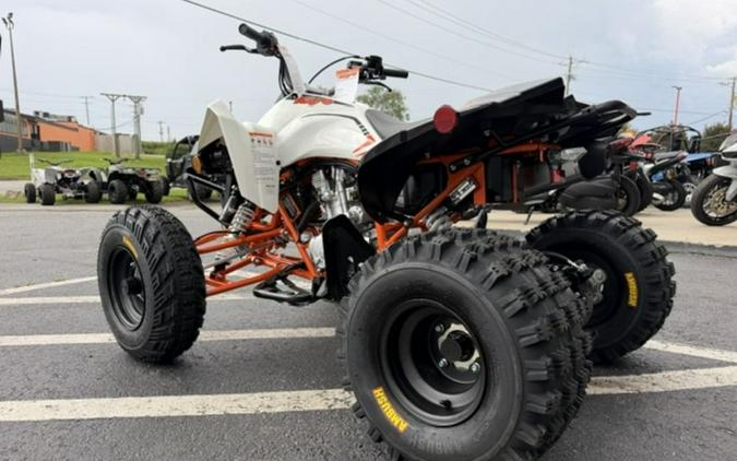 2027 Kayo Storm 300 EFI