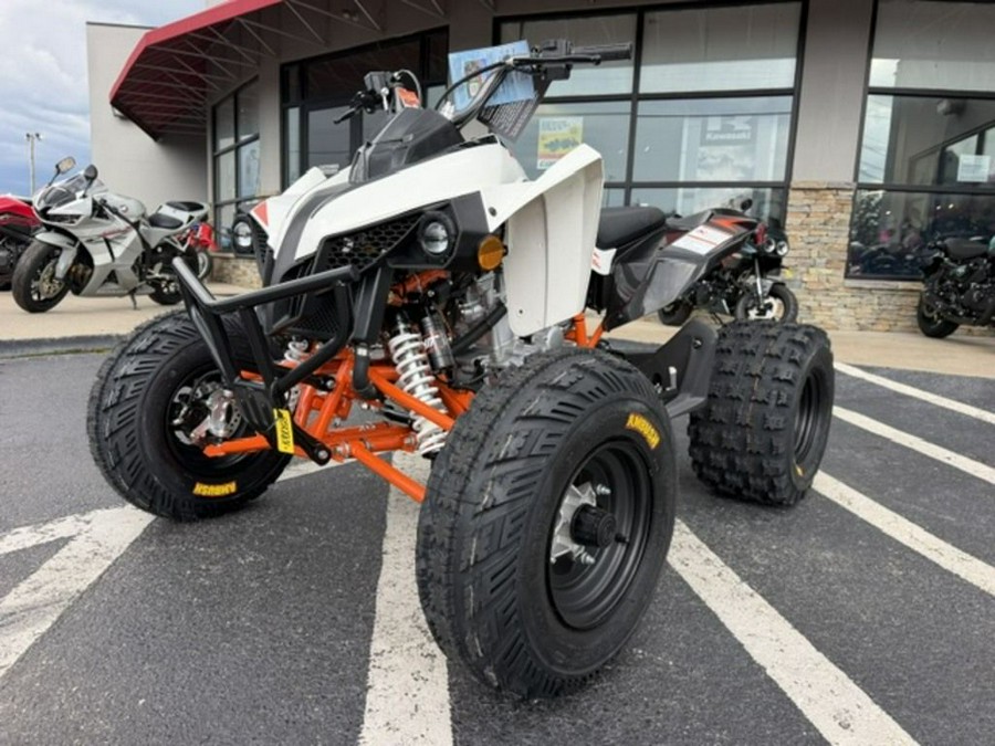 2027 Kayo Storm 300 EFI