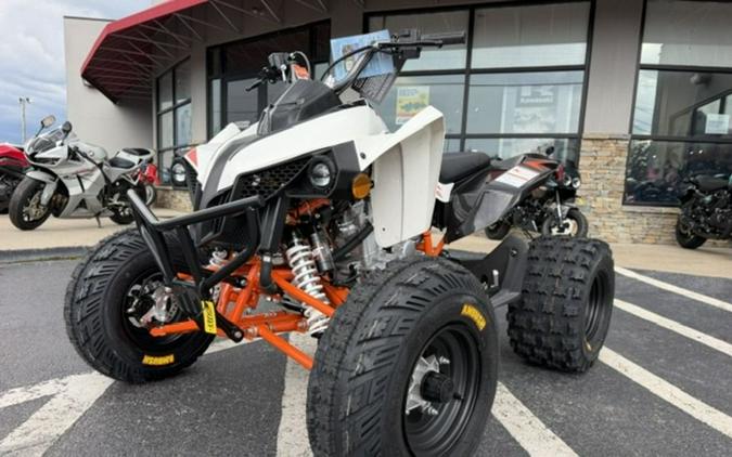 2027 Kayo Storm 300 EFI