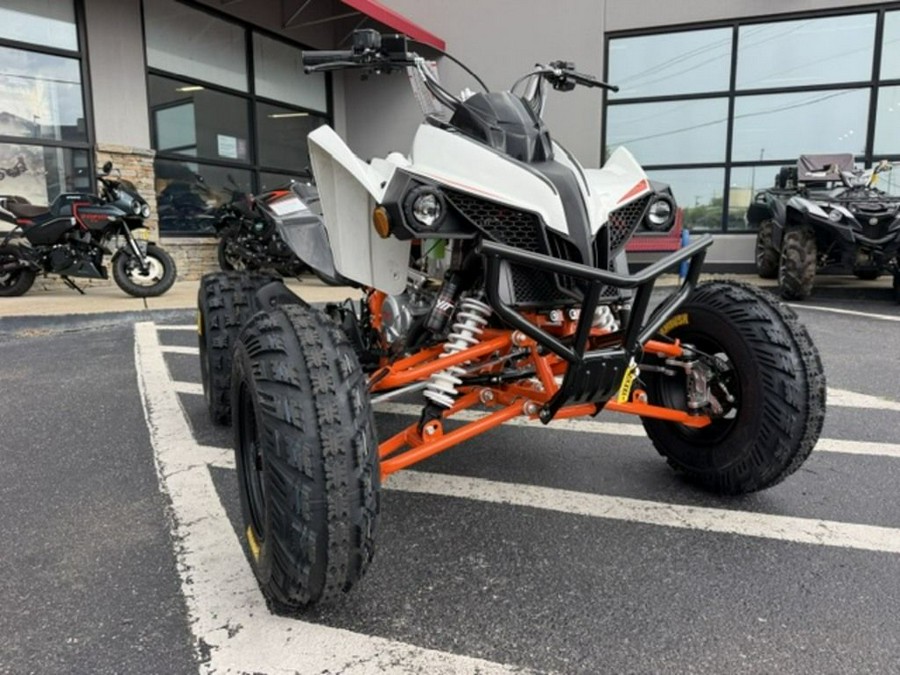 2027 Kayo Storm 300 EFI