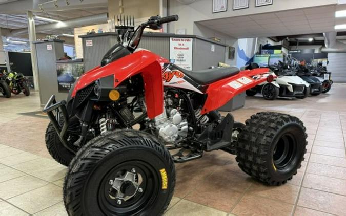 2027 Kayo Storm 300 EFI