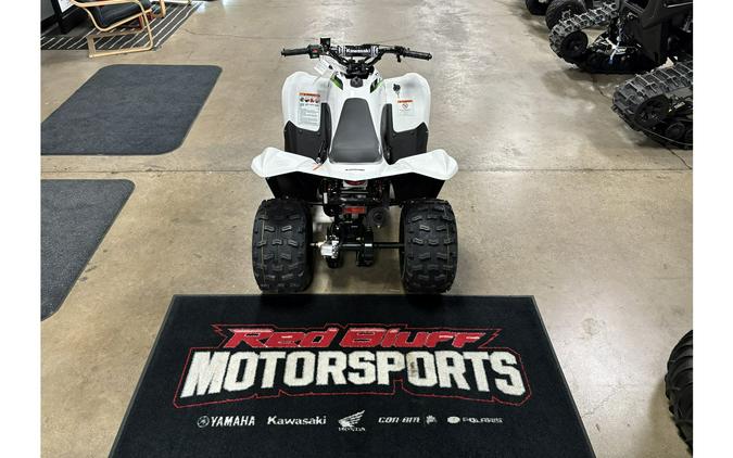 2026 Kawasaki KFX 90