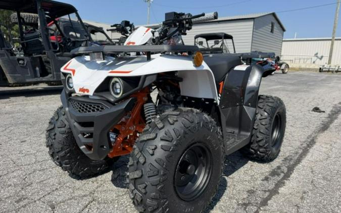 2027 Kayo Bull 110