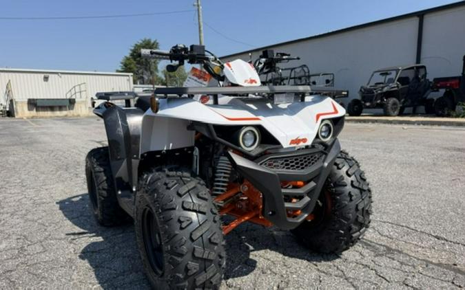 2027 Kayo Bull 110