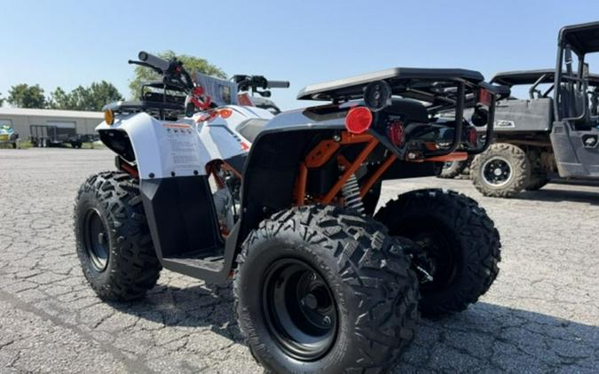 2027 Kayo Bull 110