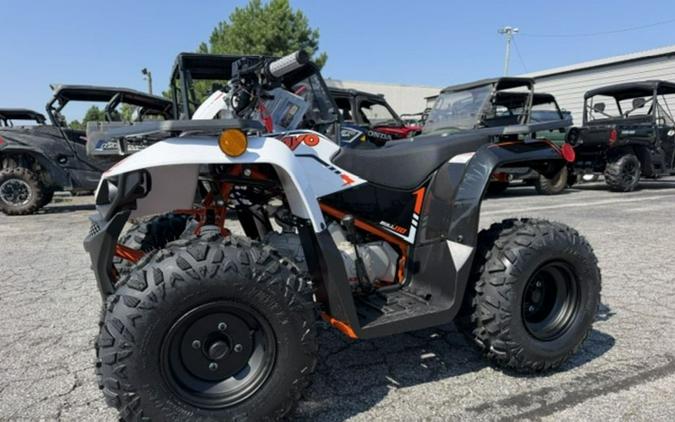 2027 Kayo Bull 110