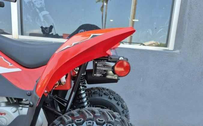 2025 Kayo Fox / Storm 70