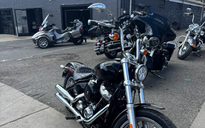 2023 Harley-Davidson Softail Standard FXST