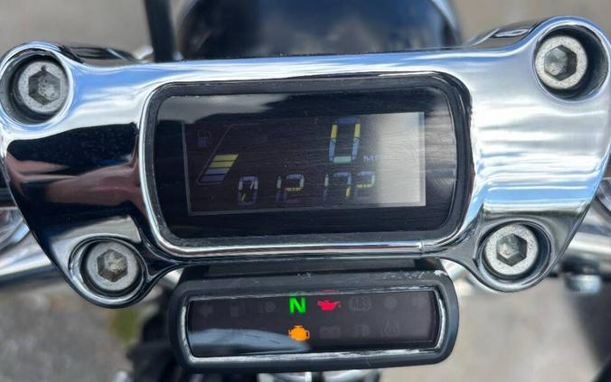 2023 Harley-Davidson Softail Standard FXST