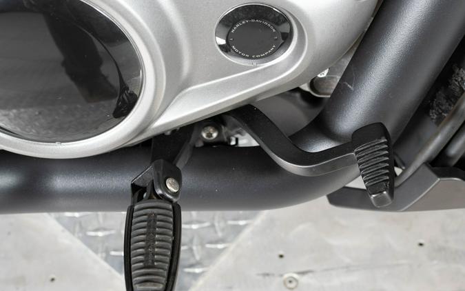 2022 Harley-Davidson Nightster RH975