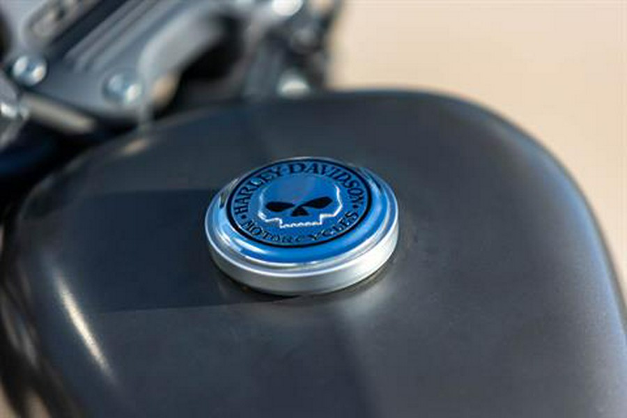 2018 Harley-Davidson Iron 883™